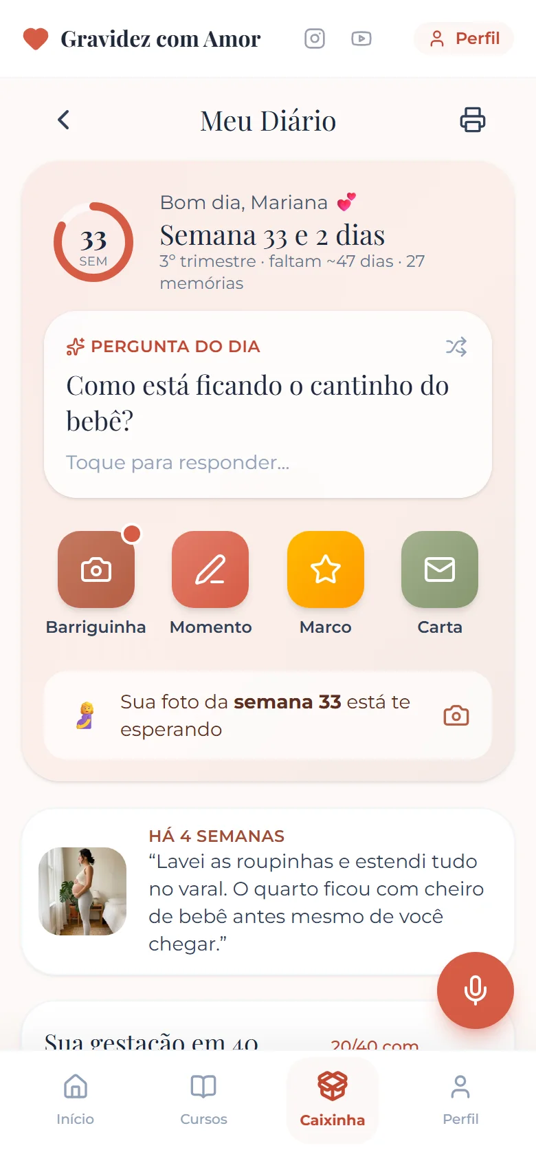 Tela inicial do Diário da Gravidez com a semana de gestação, a pergunta do dia e os botões para registrar